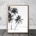Load image into Gallery viewer, Beach Art Decor Black and White Palm Trees Canvas
