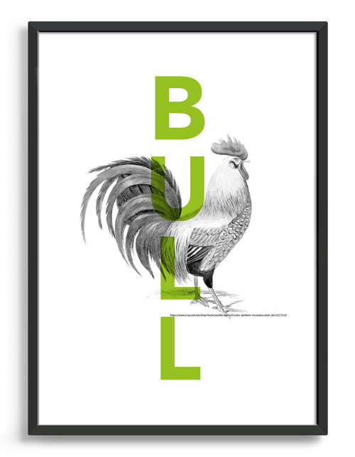 Cock and bull
