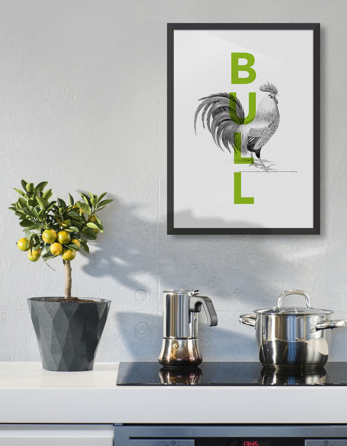 Cock and bull