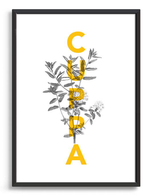 Cuppa