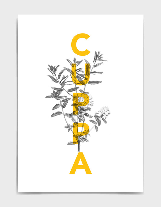 Cuppa